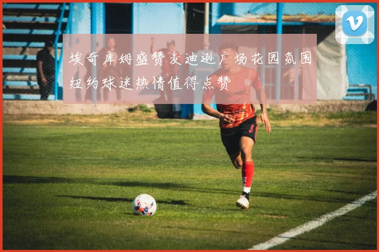 埃奇库姆盛赞麦迪逊广场花园氛围纽约球迷热情值得点赞