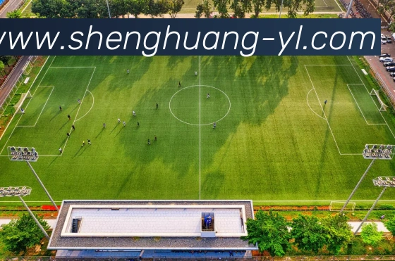 盛煌娱乐发展历程